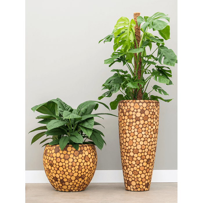 facets-ageless-couple-two_201282439