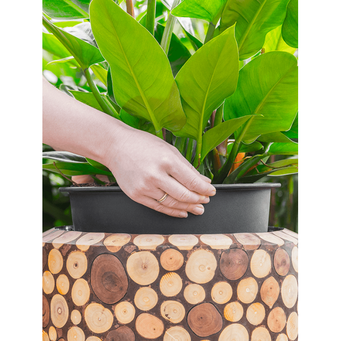 facets-ageless-couple_1635438297