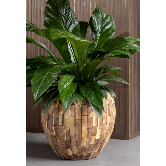 facets-jenga-couple_602235019