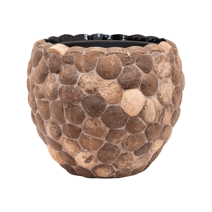 facets-out-of-coco-couple42x37_1465275600