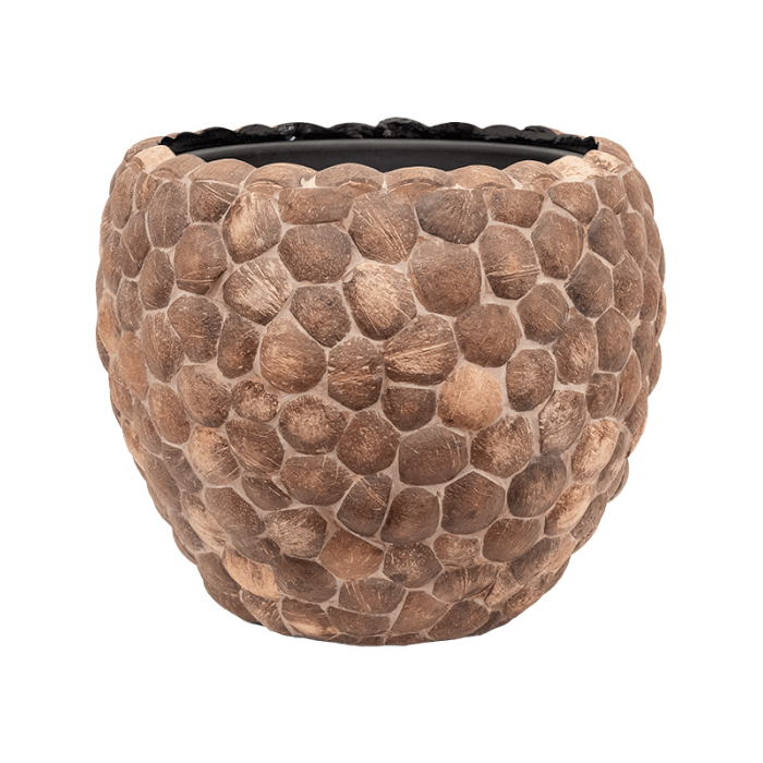 facets-out-of-coco-couple50x45_1080595089