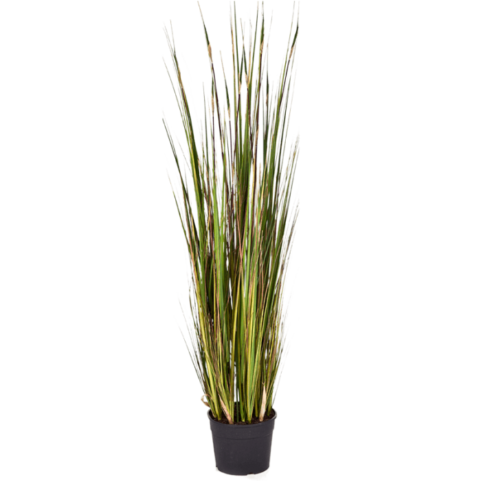 grass-bamboo-120cm_2074246184