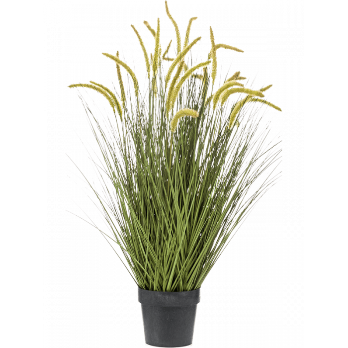 grass-cattail-bush-100cm_947907615