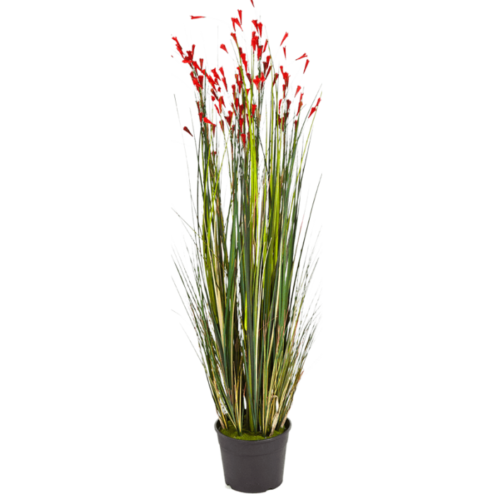 grass-coral-red-120cm_1827936924