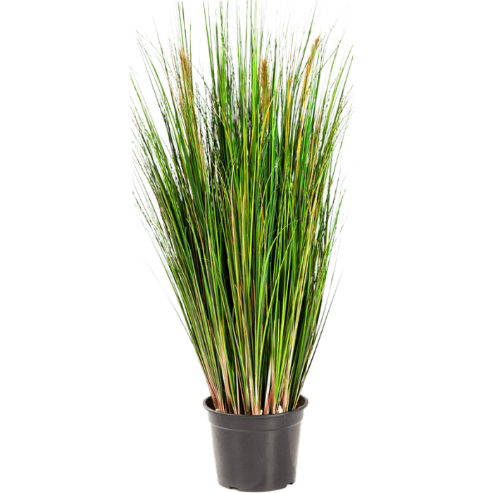 grass-foxtail-green-90cm_166002622
