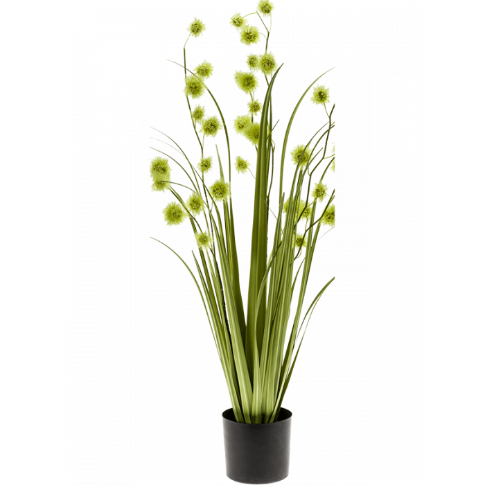 grass-pompom-85m_1317800787