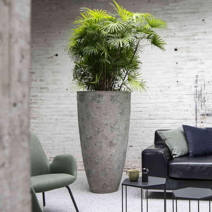 hugo-xxl-imperial-white