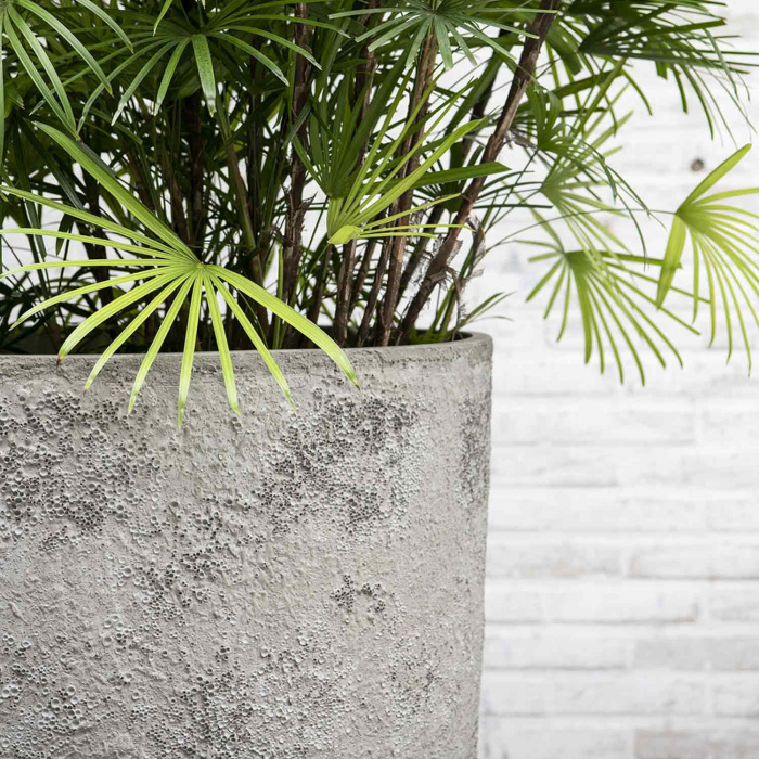 hugo-xxl-imperial-white2