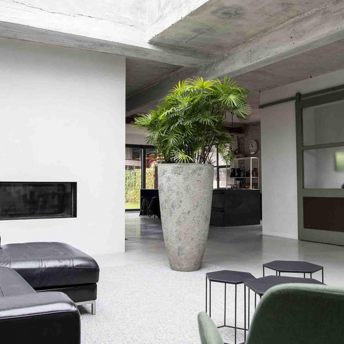 hugo-xxl-imperial-white3