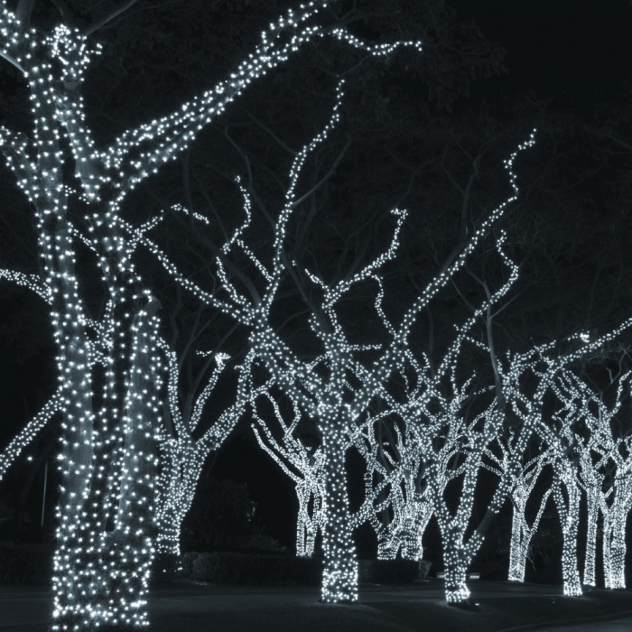 jegszikrazofenyfuzer-hideg_1924018859