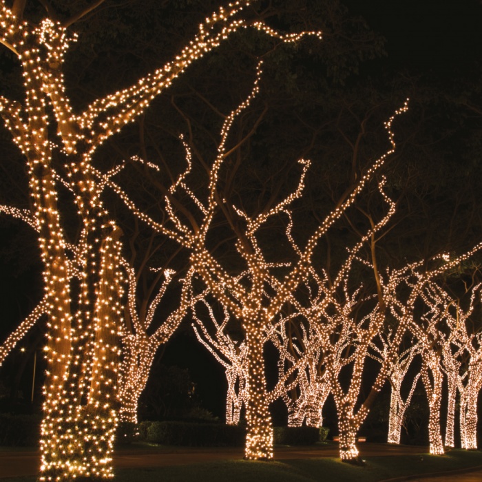 jegszikrazofenyfuzer-meleg01_1032943699