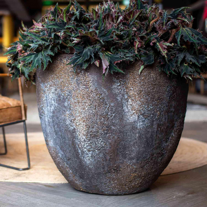 jesslyn-imperial-brown1_718565592