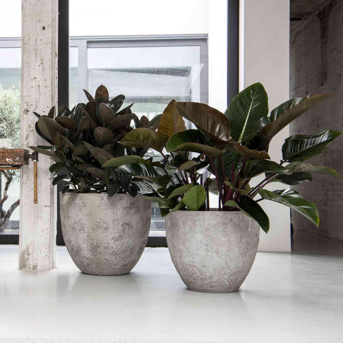 jesslyn-imperial-white_1523504954