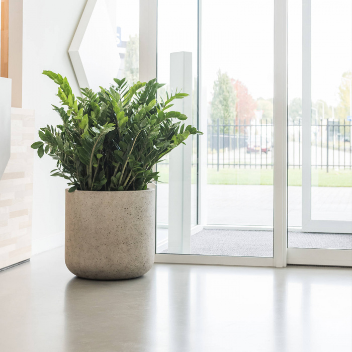 jumbo-charlie-beige-washed4_239327824