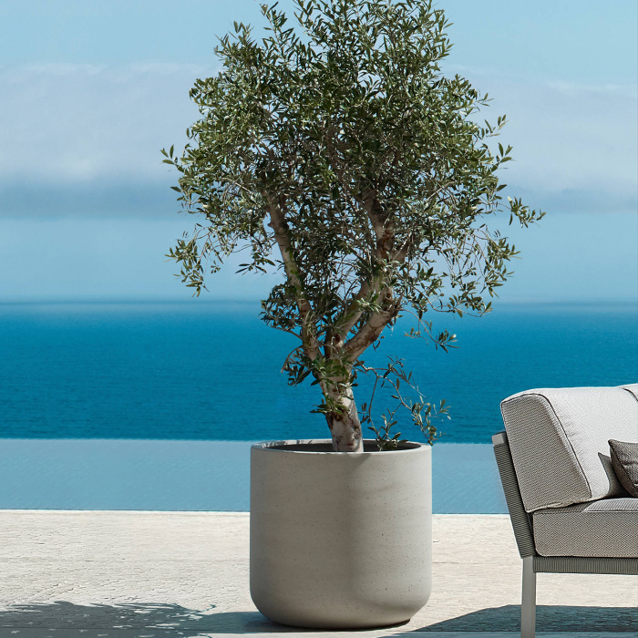 jumbo-charlie-beige-washed_1868616140