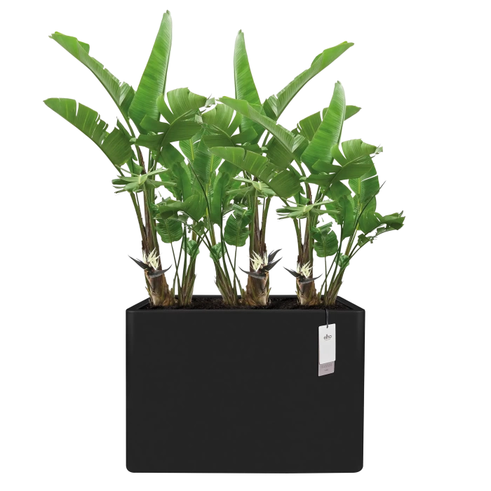 june_brick_divider_1930717640