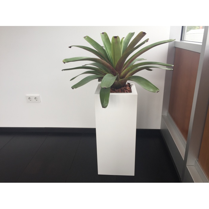 kube-kaspok_2_1464487707