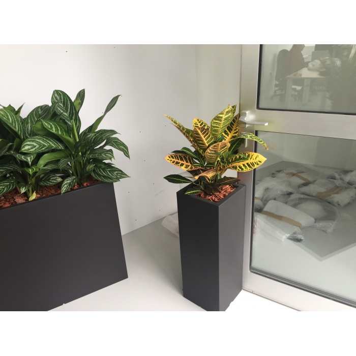 kube-kaspok_365535214