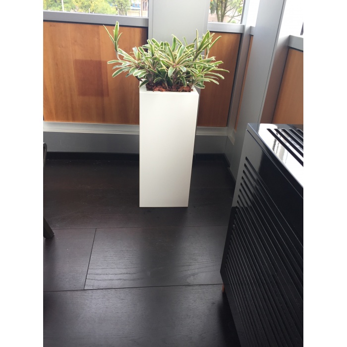 kube-kaspok_4_851093105