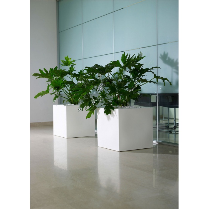 kubevasoquadratobiancoc2c23_1735639975