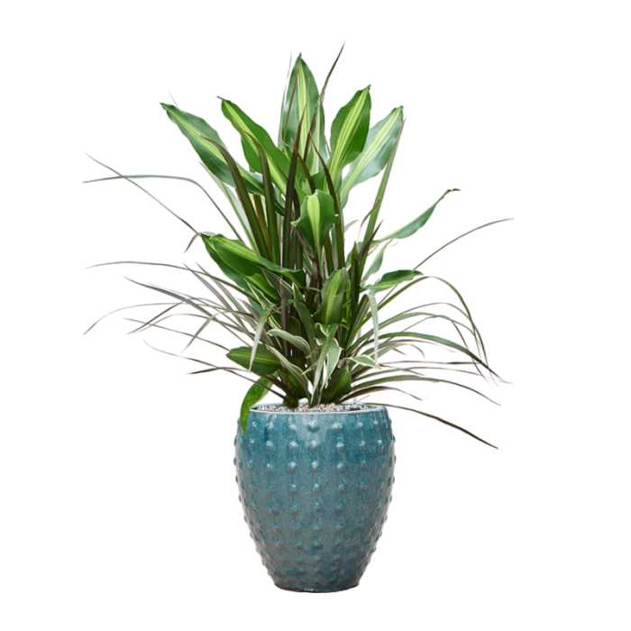 laos_mini_keramia_kaspo_30x36_cm_ocean_blue_1_918992811