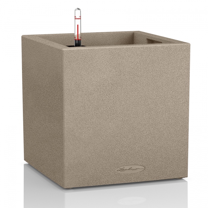 lechuza-canto-color-homok_1150565366