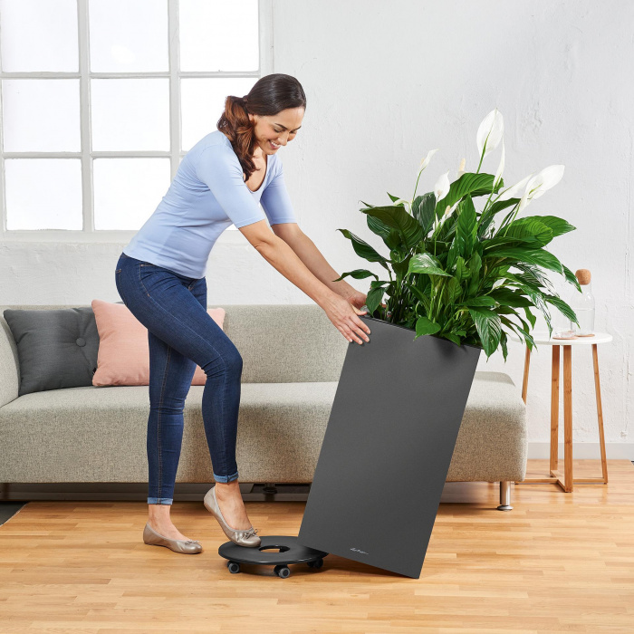 lechuza-canto-oszlop-antracit-_542298621