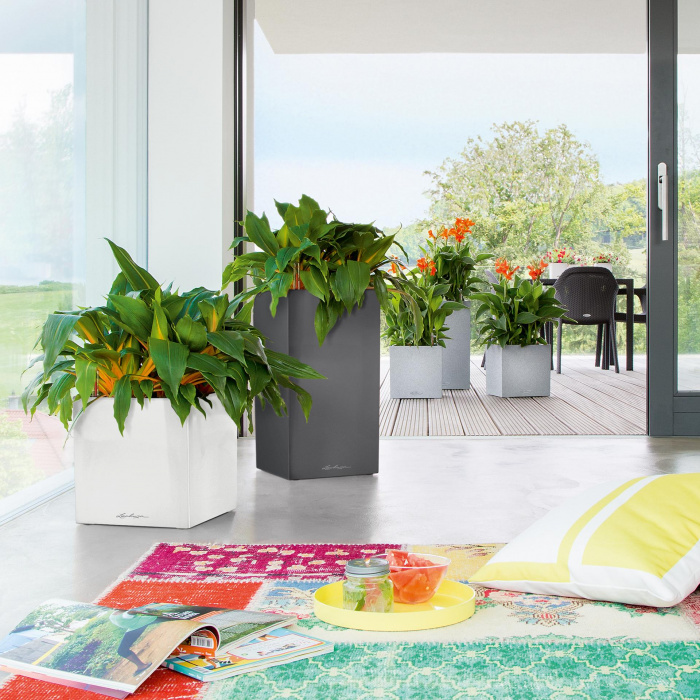 lechuza-canto-oszlop-antracit3_439776435