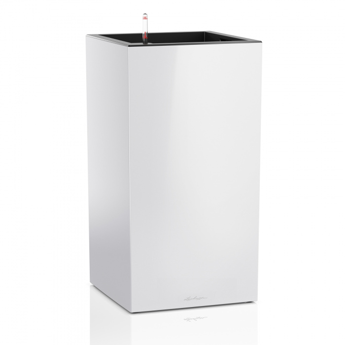 lechuza-canto-oszlop-fehr_120626034