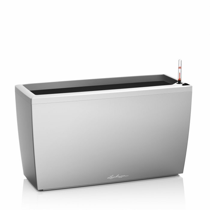 lechuza-cararo-ezst_464417685