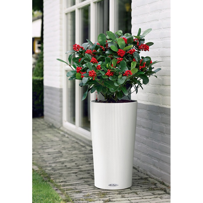 lechuza-cilindro-color_1