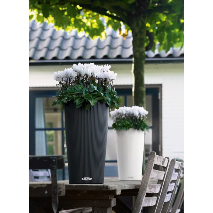 lechuza-cilindro-color_6