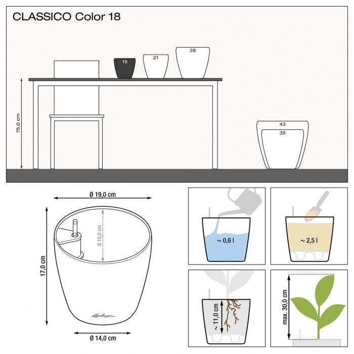 lechuza-classico-color-18