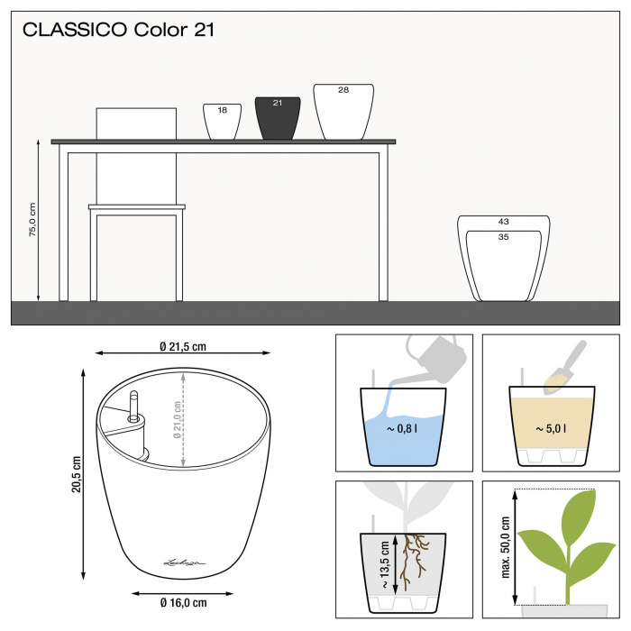 lechuza-classico-color-21
