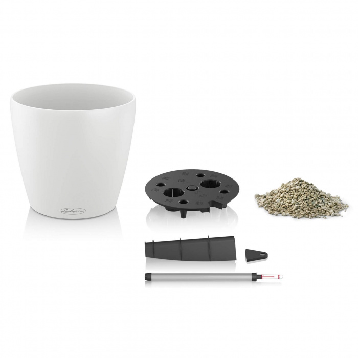 lechuza-classico-color_758281677