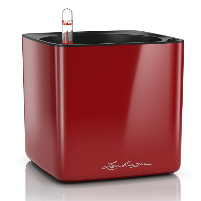 lechuza-cube-glossy-skarlat_133339051