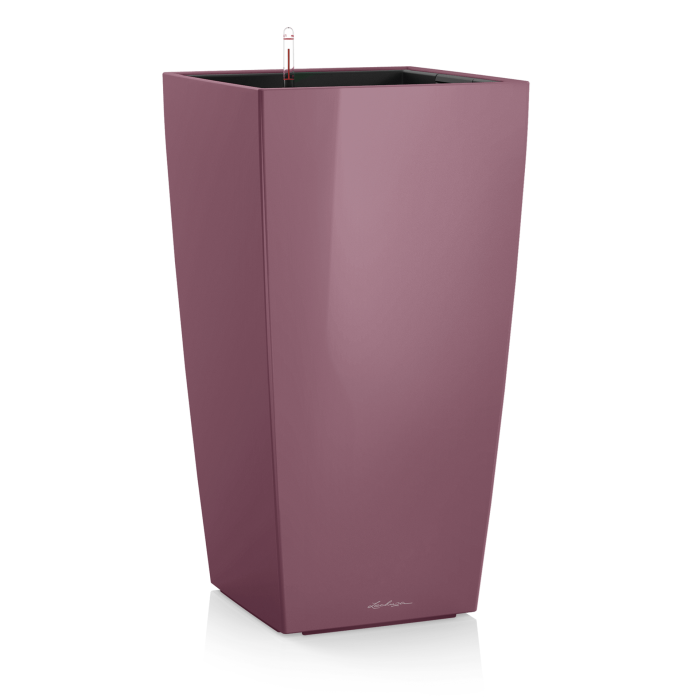 lechuza-cubico-pr-plum-magic_46773603