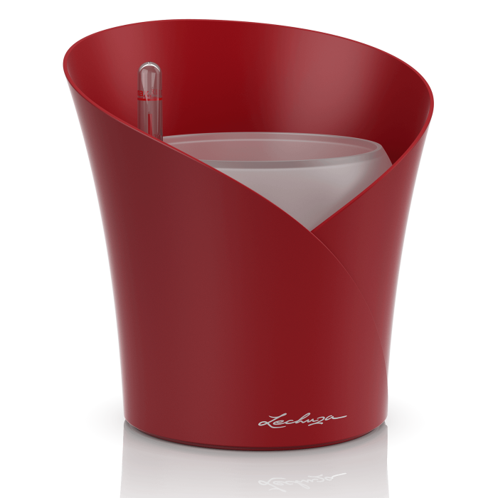 lechuza-orchidea-piros-matt_681250436