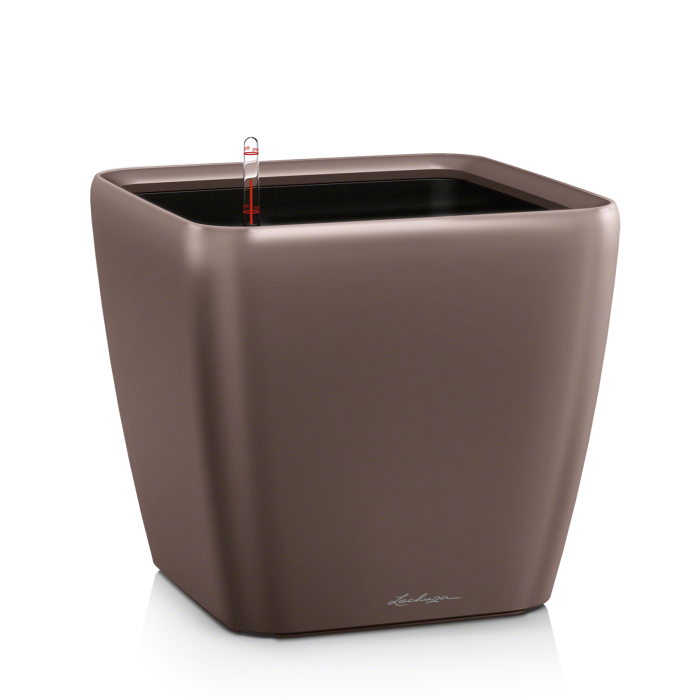lechuza-quadro-ls-eszpresszo