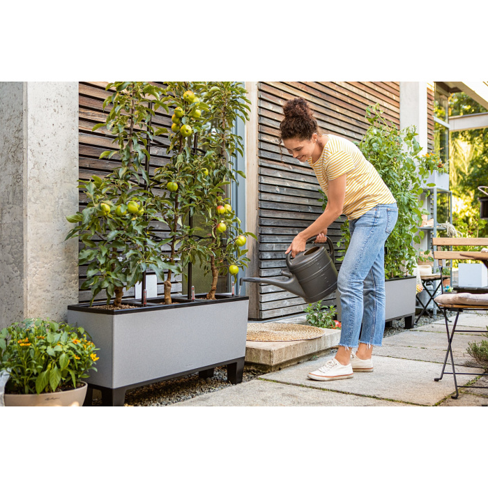 lechuza-trio-stone-quarz-stone-gray2_1249428594