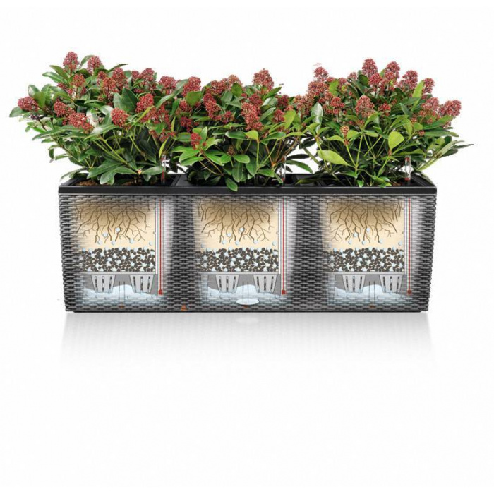 lechuza-trio-stone_989178058