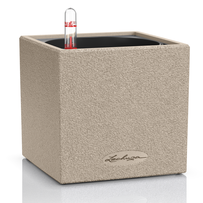 lechuzacanto-stone14-homok_975263899