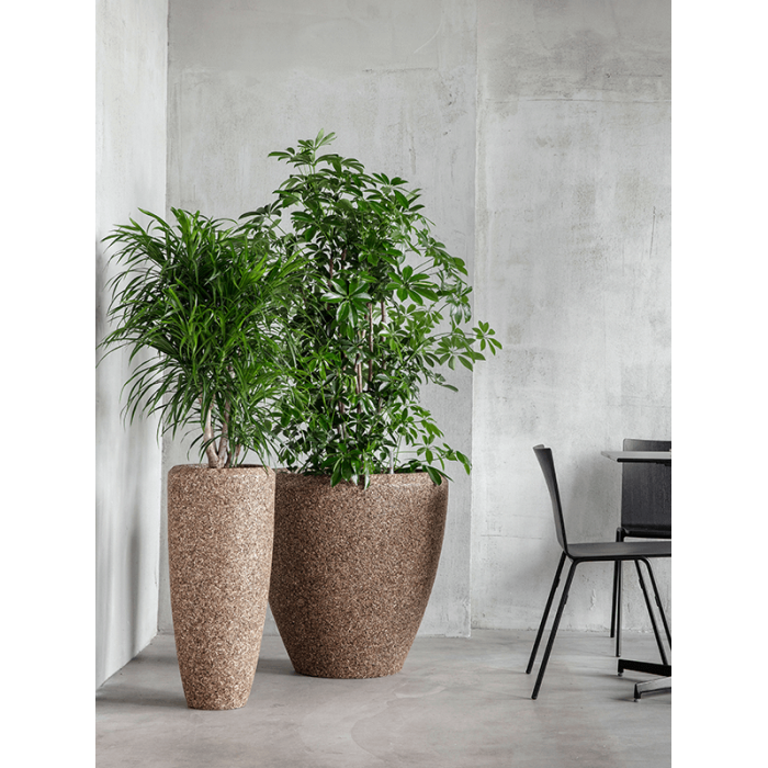 naturescast-couple-_1837429221