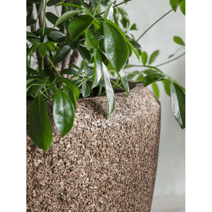 naturescast-couple_347049020