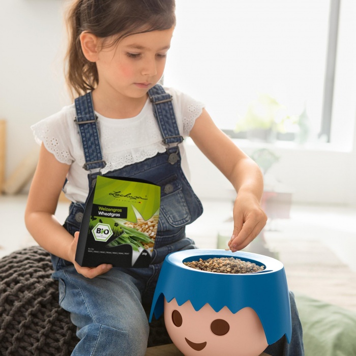 ojo-raven6_1301463436