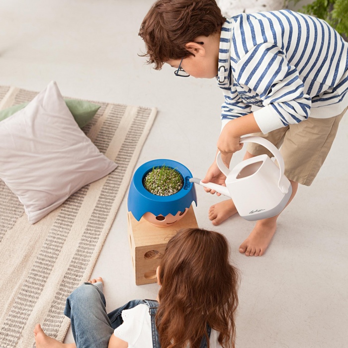 ojo-raven7_1548662619