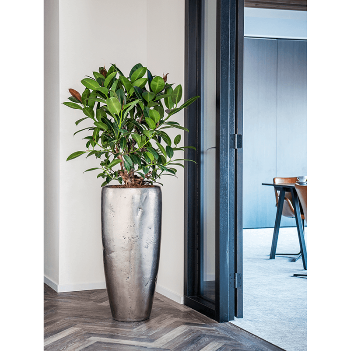 opus-hammered-silver-_748259932