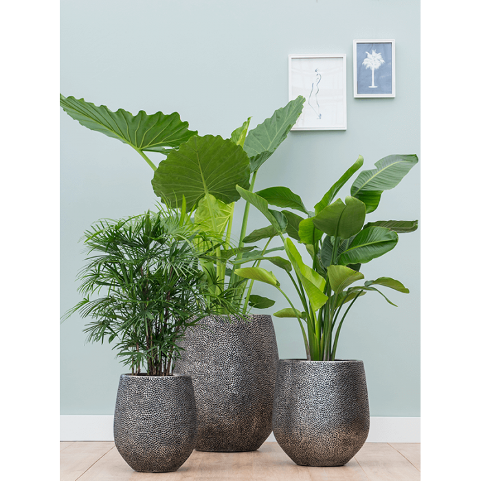 opus-hit-darcy-silver_356261905