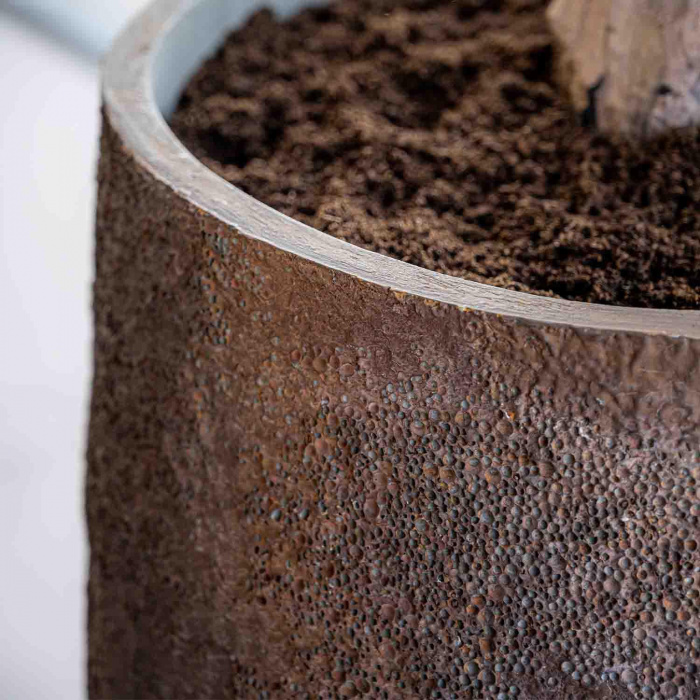 oyster-belon-l-imperial-brown3_561526973