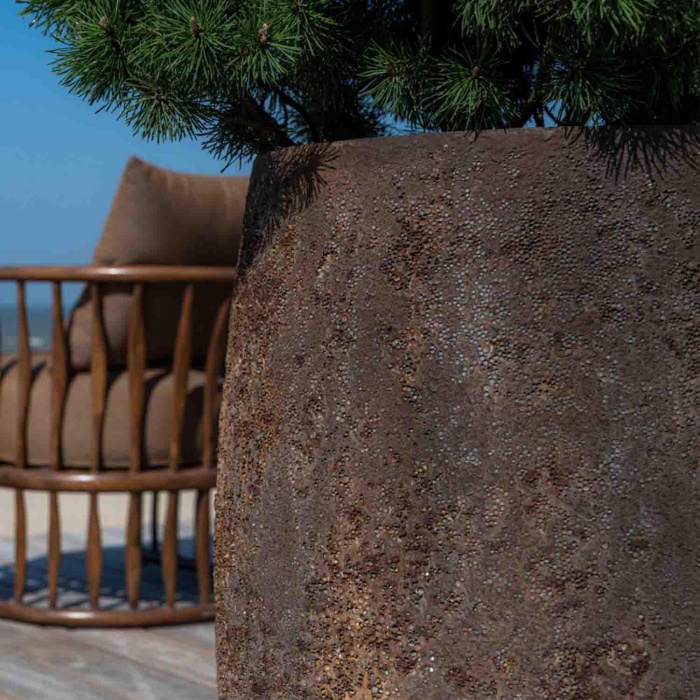 oyster-belon-l-imperial-brown5_371254680